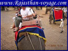 elephant ride in Rajasthan