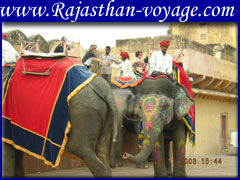 Elephant ride at amber fort