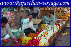 rajasthan desert tour package