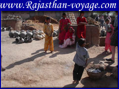 tour package to rajashan  jaisalmer