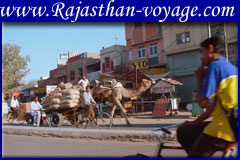 accommodation at agra