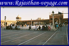  Travel Agency in Rajasthan