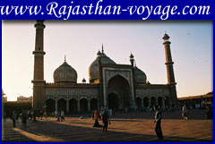 travel Rajasthan