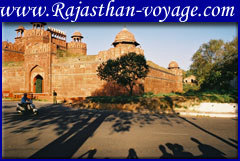  royal rajasthan tours