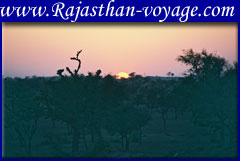 packages tour to rajasthan