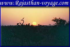 sunset in rajasthan