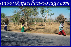 photo gallery rajasthan