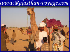 nline tours packages rajasthan