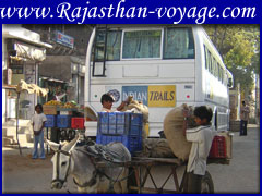 travel packages in udaipur