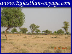 hotels in orchha