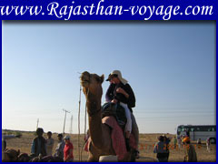 vacation in rajasthan